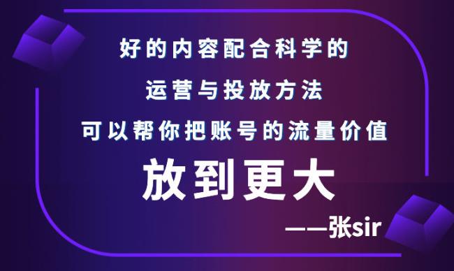 【副业项目3305期】（怎么投dou+快速涨粉）张sir账号流量增长课，让你的流量更精准-云起副业网