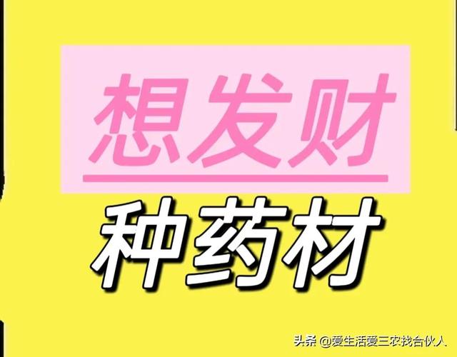 农村种植什么利润高（种什么药材最赚钱农村2022年）-云起副业网