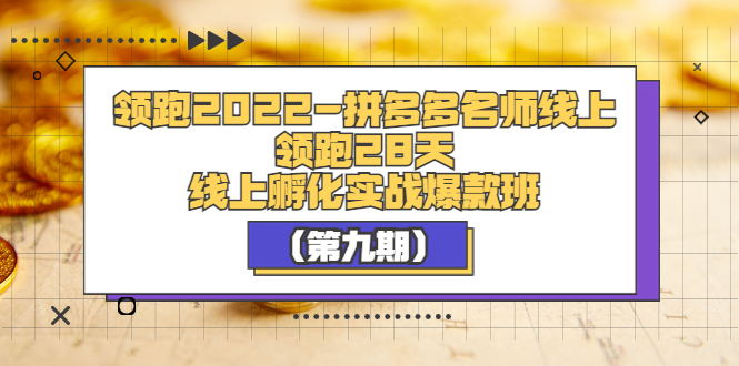 【副业项目3821期】拼多多名师线上领跑28天，拼多多线上孵化实操爆款班（第九期）-云起副业网