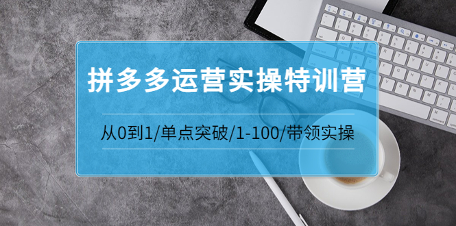 【副业项目3863期】拼多多运营实操特训营：拼多多直通车进阶优化技巧，拼多多如何操作利润最大化-云起副业网