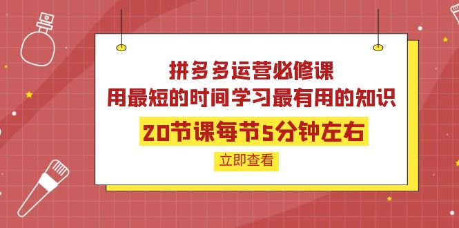 【副业项目4189期】拼多多运营必修课：20节课每节5分钟左右，用最短的时间学习最有用的知识-云起副业网