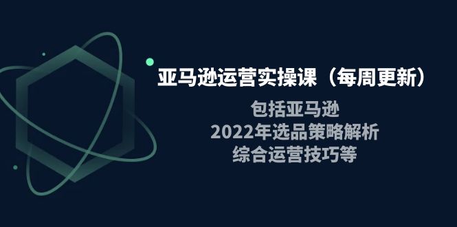 【副业项目4284期】亚马逊运营实操课：包括亚马逊2022选品策略解析，综合运营技巧等-云起副业网