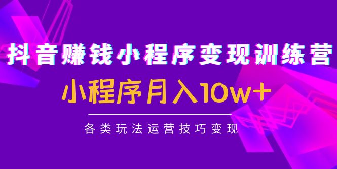 【副业项目4765期】抖音赚钱小程序变现训练营：小程序月入10w+各类玩法运营技巧变现-云起副业网