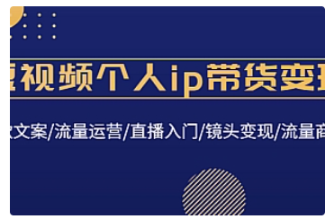 【副业项目4835期】短视频个人ip带货变现：爆款文案/流量运营/直播入门/镜头变现/流量商业-云起副业网