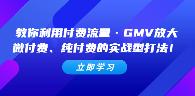 【副业项目5265期】教你利用付费流量·GMV放大，微付费、纯付费的实战型打法-云起副业网