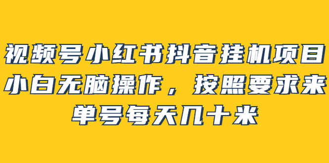 【副业项目2904期】视频号小红书抖音挂机项目，小白无脑操作，按照要求来，单号每天几十米-云起副业网