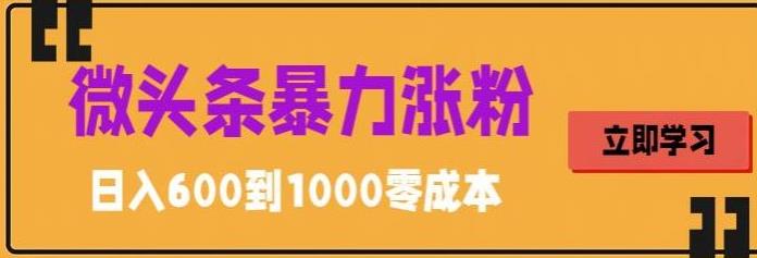 【副业项目5970期】微头条暴力涨粉技巧搬运文案就能涨几万粉丝，简单0成本，日赚600-云起副业网