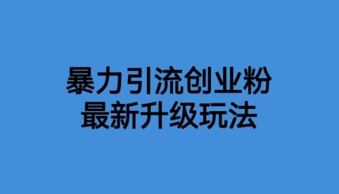 【副业项目6372期】价值1980一千个野路子暴力引流最新升级玩法【揭秘】-云起副业网