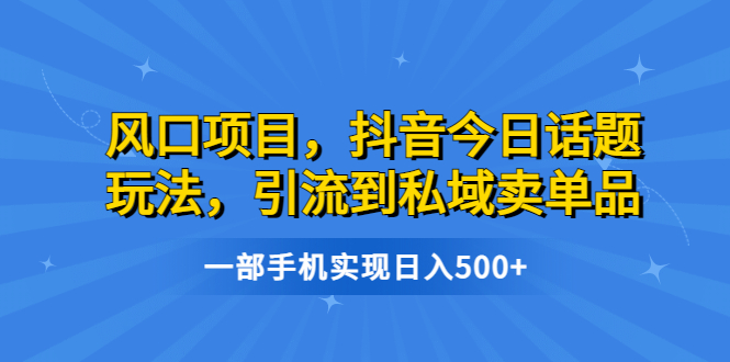 【副业项目6791期】风口项目，抖音今日话题玩法，引流到私域卖单品，一部手机实现日入500+-云起副业网