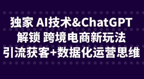 【副业项目6780期】独家 AI技术&ChatGPT解锁 跨境电商新玩法，引流获客+数据化运营思维-云起副业网