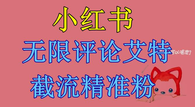 【副业项目6846期】小红书无限评论艾特截流精准粉（软件+教程）-云起副业网