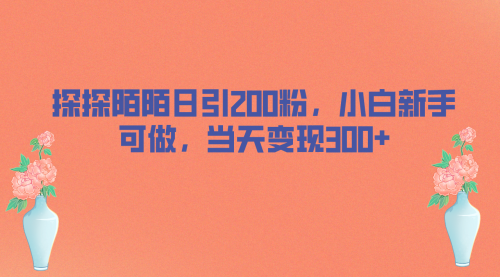 【副业项目7026期】探探陌陌日引200粉，小白新手可做，当天就能变现300+-云起副业网