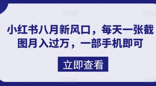 【副业项目7078期】八月新风口，小红书虚拟项目一天收入1000+-云起副业网