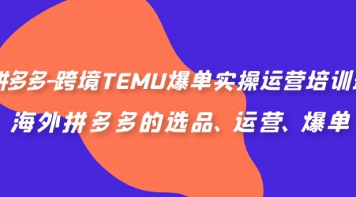 【副业项目7128期】拼多多-跨境TEMU爆单实操运营培训班，海外拼多多的选品、运营、爆单-云起副业网