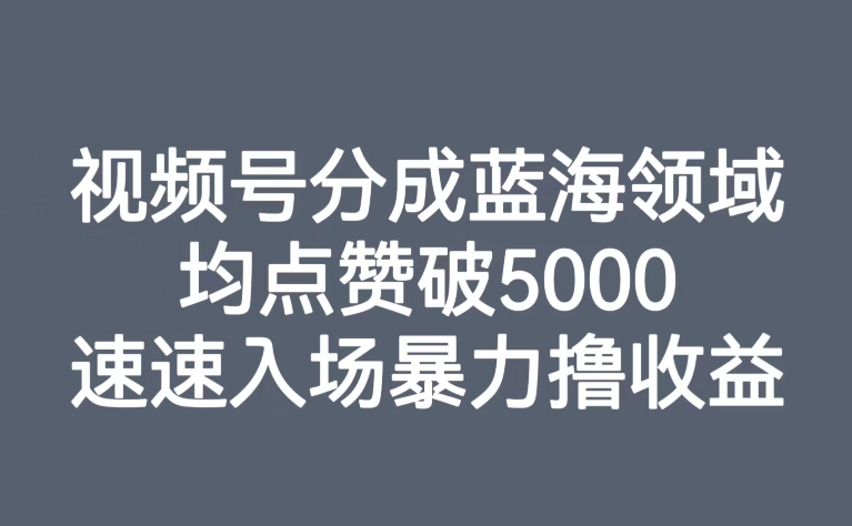 【副业项目8023期】视频号分成蓝海领域，均点赞破5000，速速入场暴力撸收益-云起副业网