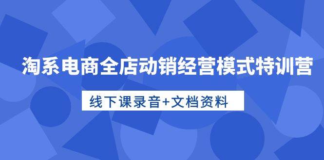 淘系电商全店动销经营模式特训营，线下课录音+文档资料-云起副业网