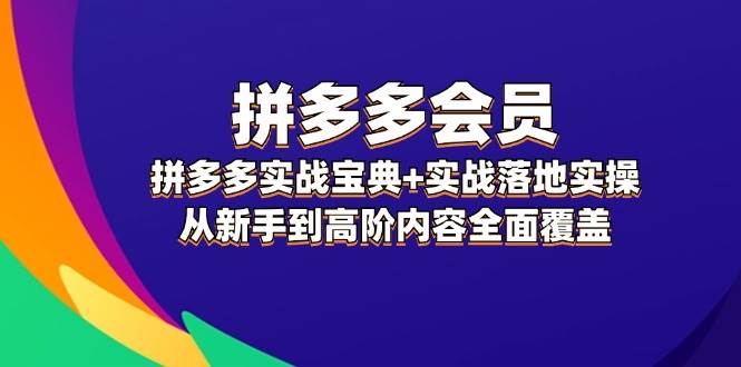 拼多多 会员，拼多多实战宝典+实战落地实操，从新手到高阶内容全面覆盖-云起副业网