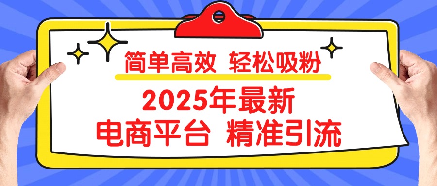 2025年最新电商平台精准引流 简单高效 轻松吸粉-云起副业网